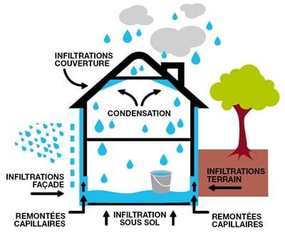 illustration des causes de l’humidité dans la maison condensation infiltration remontées capillaires