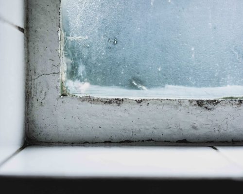 cause et solution pour l’humidité dans la maison, condensation murales et moisissures